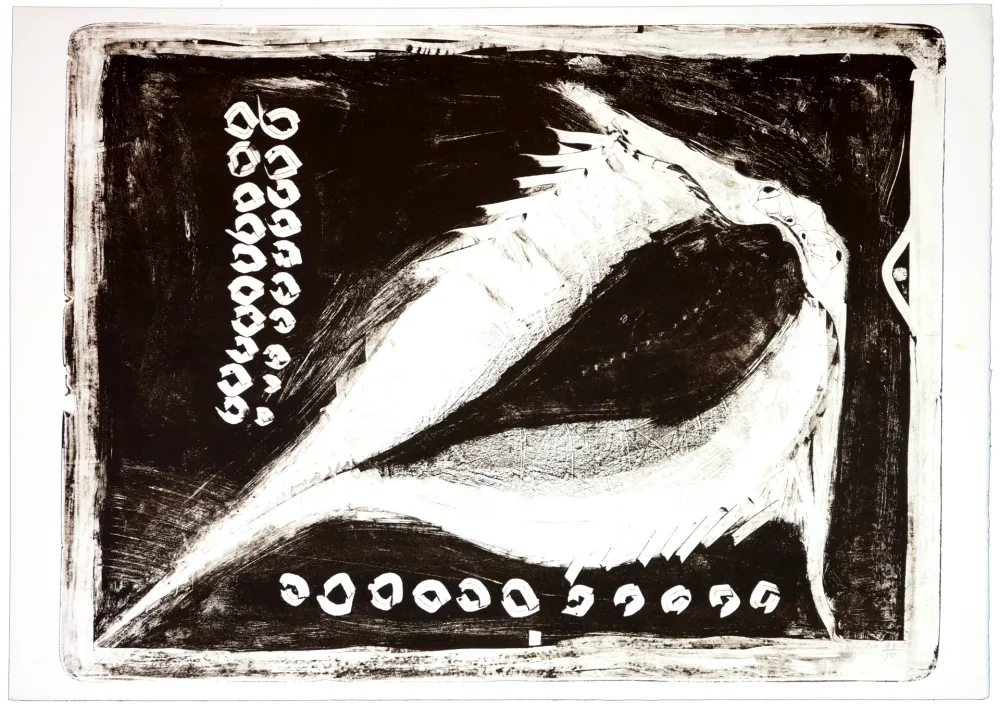 Litografia Toledo - La Raya