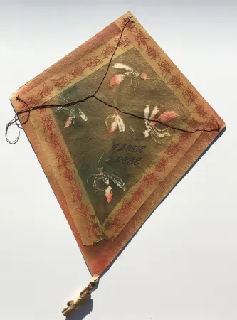 Sem Técnica Toledo - Mosquitos Kite