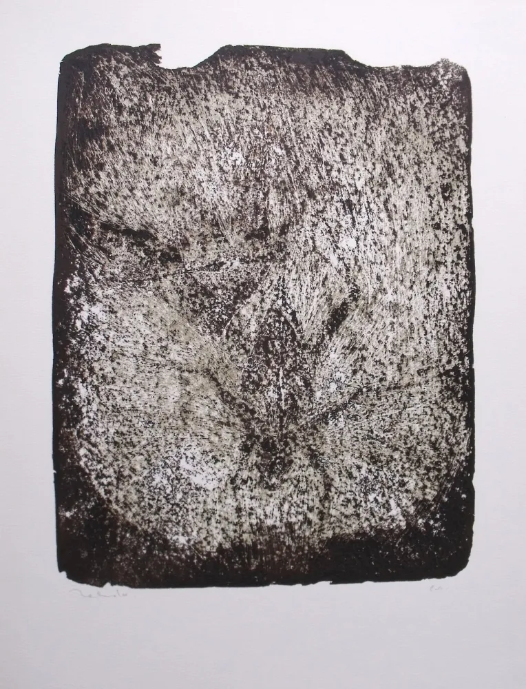 Litografia Toledo - Plaga