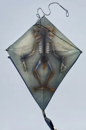 Sem Técnica Toledo - Skeleton with Rabbits Kite