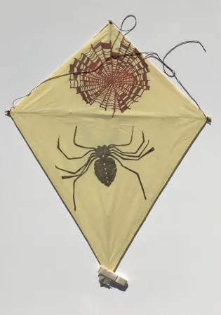 Sem Técnica Toledo - Spider and Web Kite