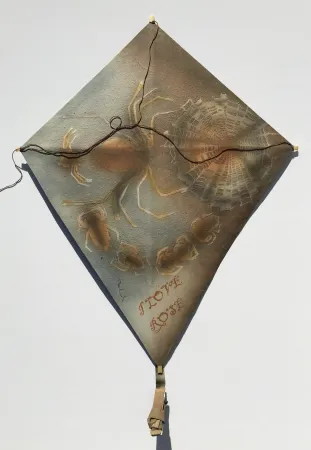 Sem Técnica Toledo - Spiders with Web Kite