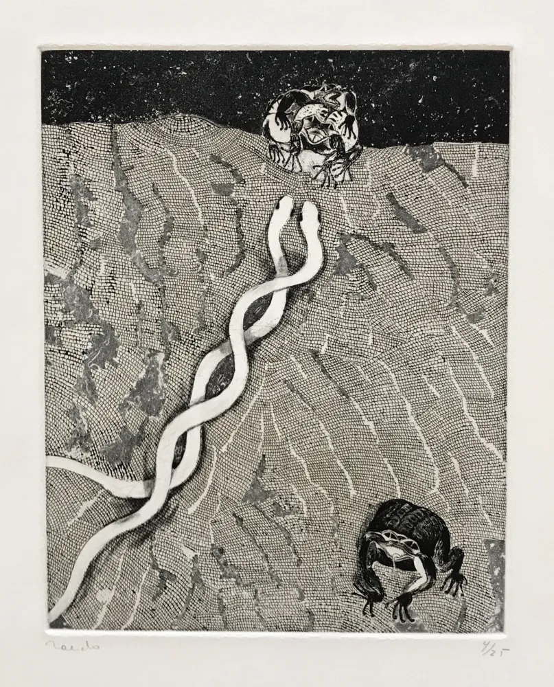 Gravura Toledo - The Path of the Toad