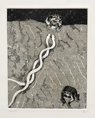 Gravura Toledo - The Path of the Toad