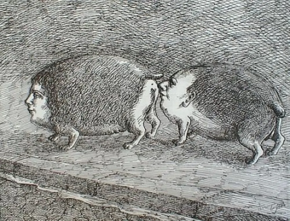 Gravura Topor - Senza titolo