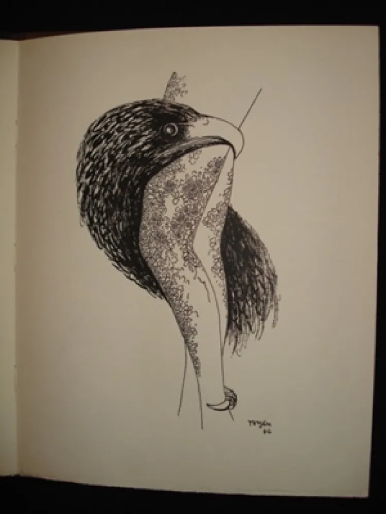 Livro Ilustrado Toyen - Le puits dans la tour / TOYEN. Débris de rêves