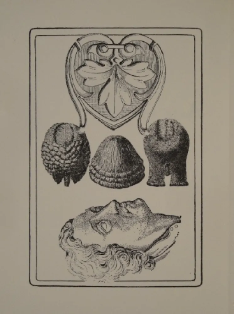 Livro Ilustrado Toyen - Le Roi Gordogane