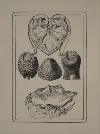 Livro Ilustrado Toyen - Le Roi Gordogane