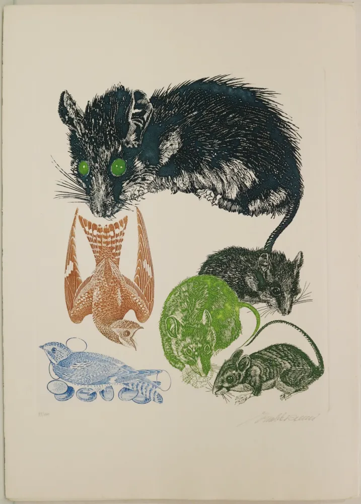 Água-Forte Trubbiani - Senza titolo