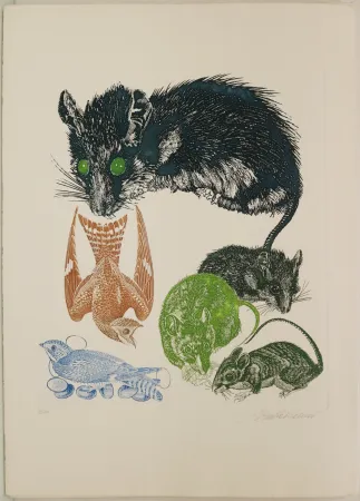 Água-Forte Trubbiani - Senza titolo