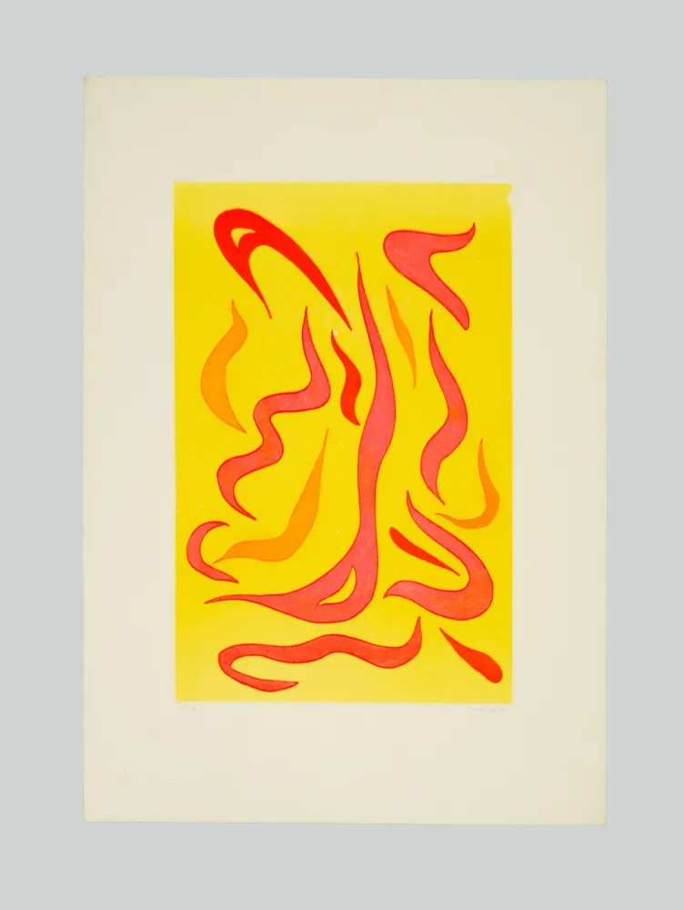 Água-Forte E Água-Tinta Turcato - Composizione