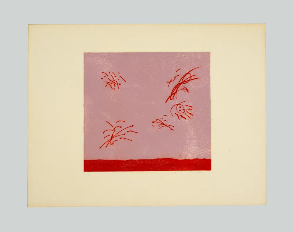 Água-Forte E Água-Tinta Turcato - Composizione