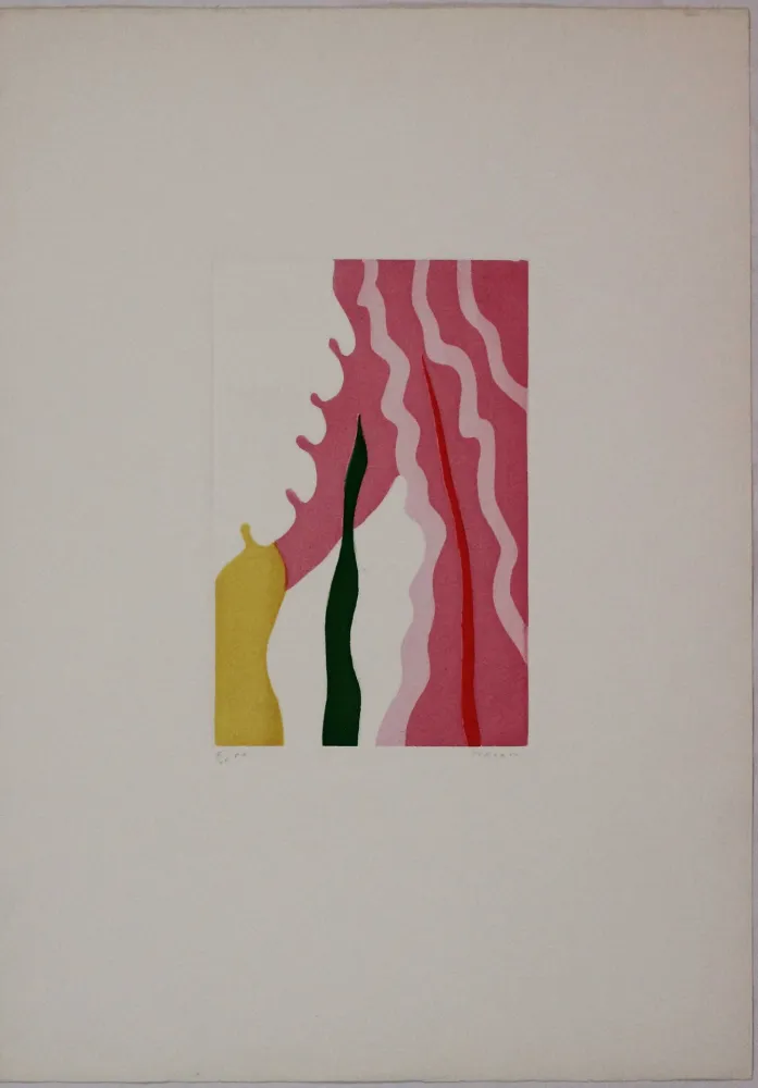 Água-Forte E Água-Tinta Turcato - L'absente