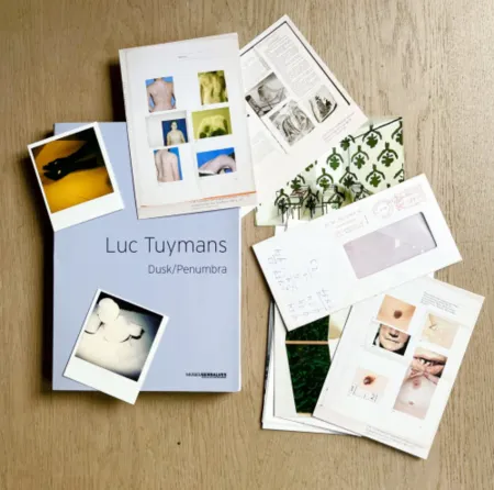 Múltiplo Tuymans - Dusk/Penumbra (book)