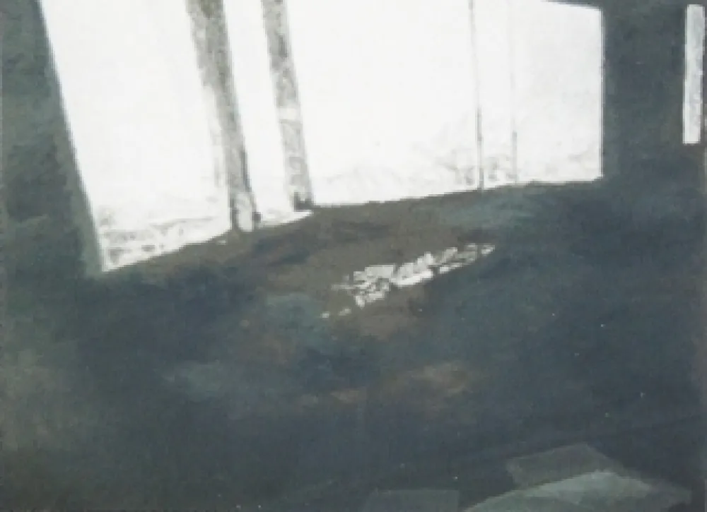 Serigrafia Tuymans - Fenêtres