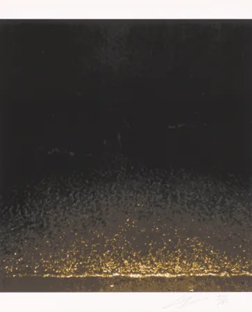 Serigrafia Tuymans - Shore