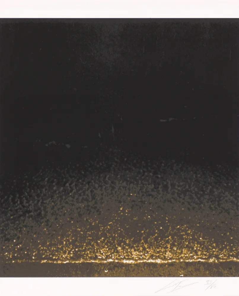 Serigrafia Tuymans - Shore