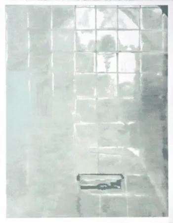 Serigrafia Tuymans - Tiles