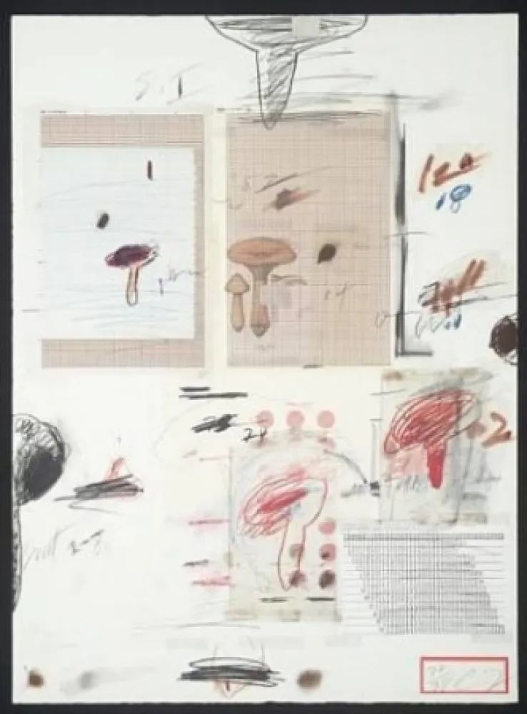 Litografia Twombly - Natural History Part I: Mushrooms IV