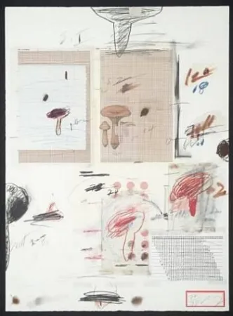 Litografia Twombly - Natural History Part I: Mushrooms IV