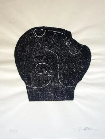 Livro Ilustrado Ubac - Comme un sol plus obscur