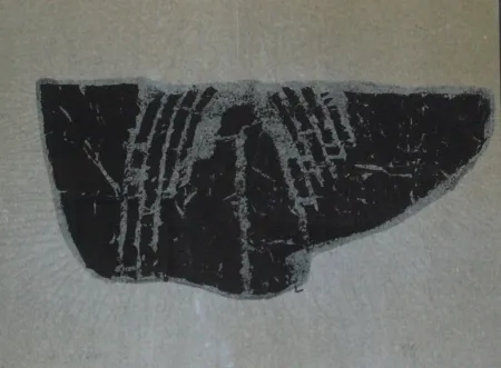 Monotipia Ubac - Empreinte d'ardoise