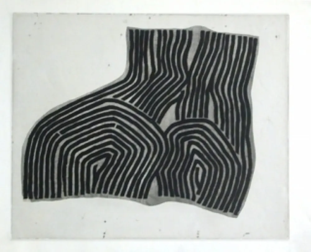 Água-Forte E Água-Tinta Ubac - Le pommier impudique 