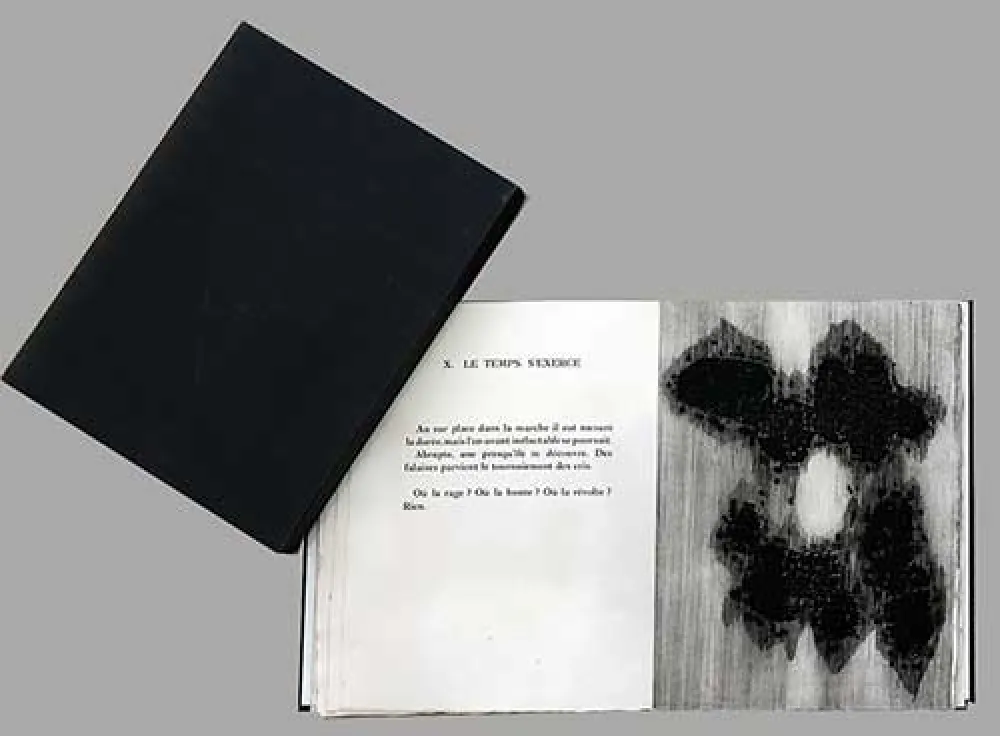 Livro Ilustrado Ubac - Lisière du devenir