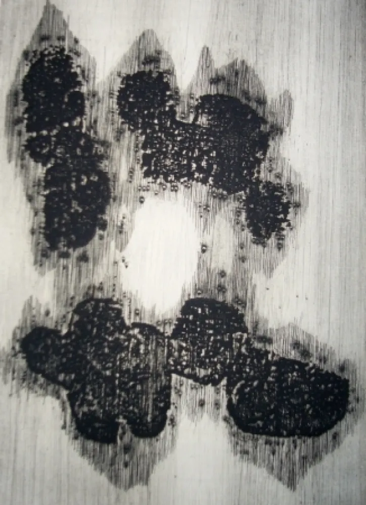 Livro Ilustrado Ubac - Lisière du devenir