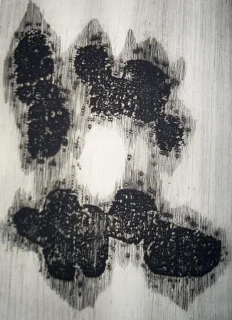 Livro Ilustrado Ubac - Lisière du devenir