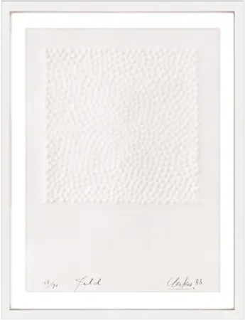 Sem Técnica Uecker - Feld