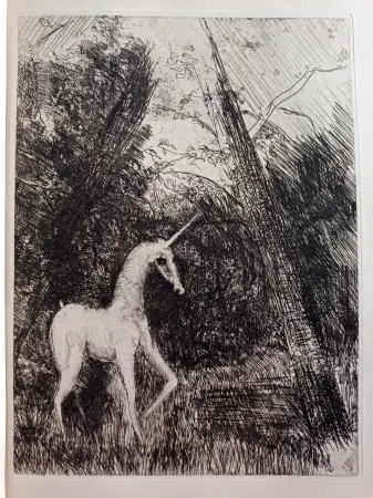 Água-Forte Unknown - Bestiaire avec 14 eaux-fortes de Pedro Zamorano de Biedma Kerdyk, René (Pedro Zamorano de Biedma) (Léon-Paul Fargue)