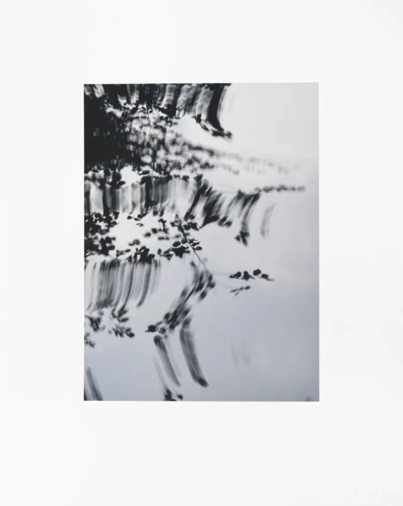 Gravura Digital Usle - Pisuena