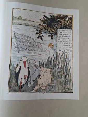 Livro Ilustrado Van Hoytema - Het leelijke jonge Eendje