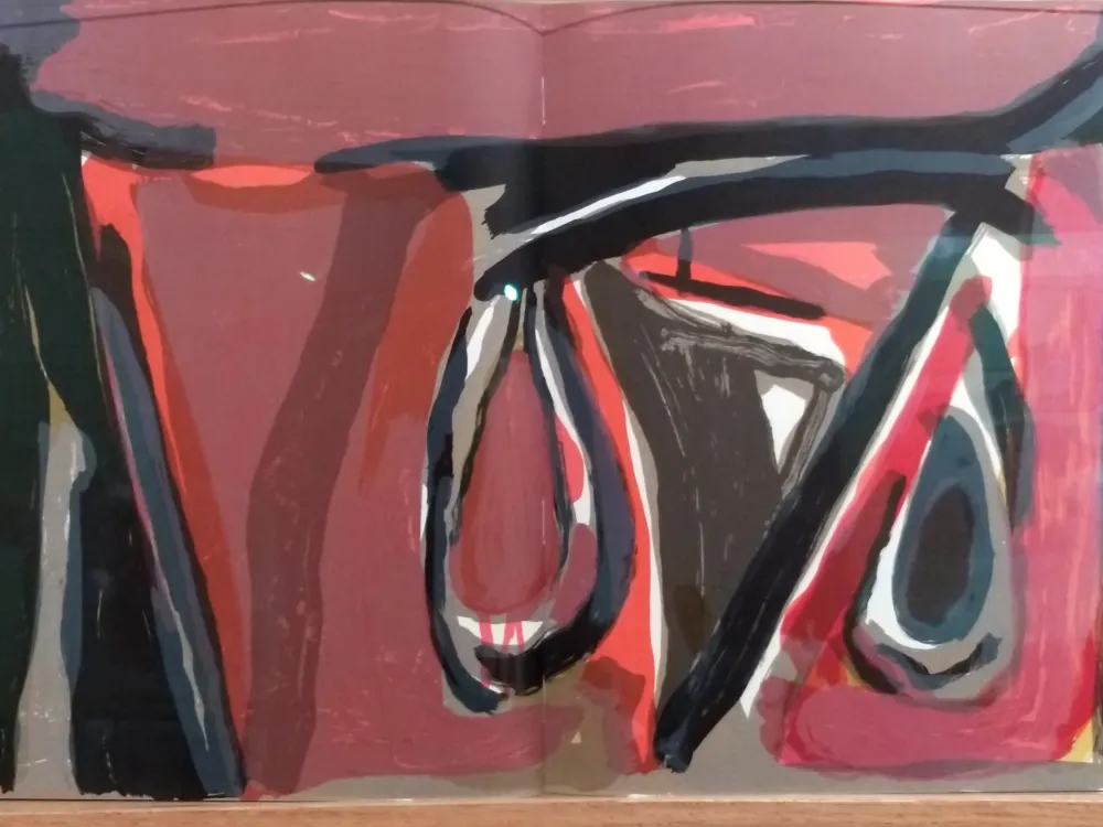 Livro Ilustrado Van Velde - DLM 250