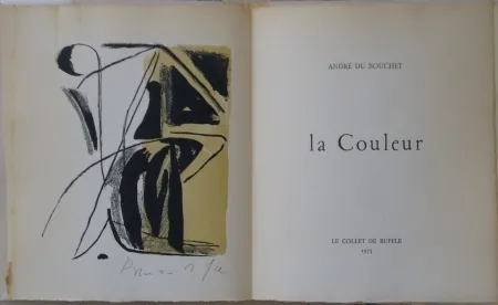 Litografia Van Velde - La couleur