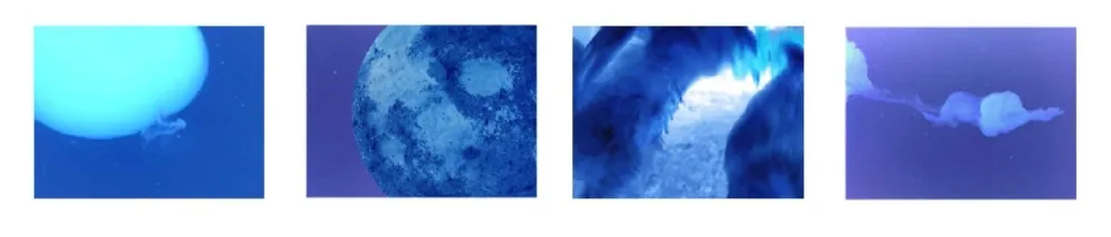 Múltiplo Vanmechelen - Fertility (x4)