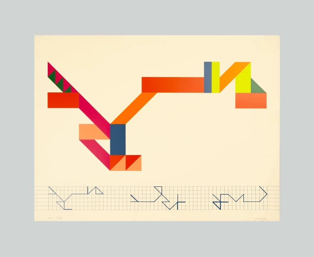 Serigrafia Varisco - Random walks (Tav. A)