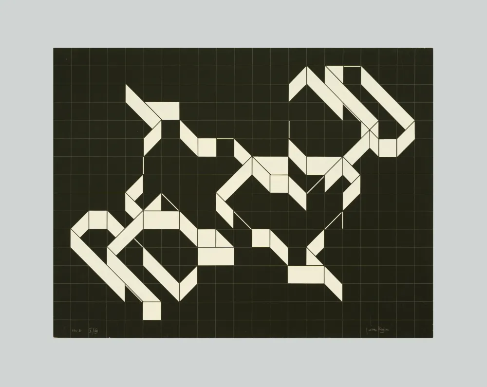 Serigrafia Varisco - Random walks (Tav. D)