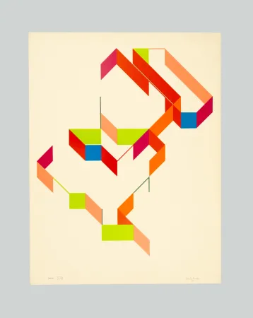 Serigrafia Varisco - Random walks (Tav. E)