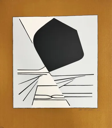 Serigrafia Vasarely - Latorça