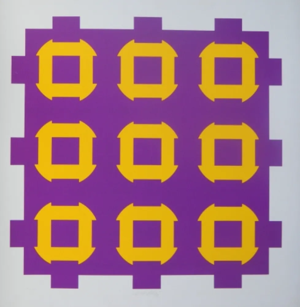 Serigrafia Vasarely - Procion C