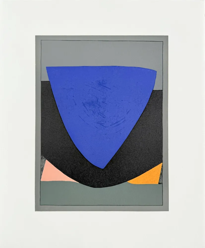 Litografia Vasarely - Tecoma