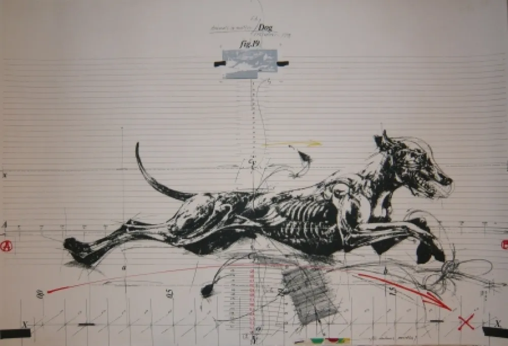 Litografia Velickovic - Animals in motion