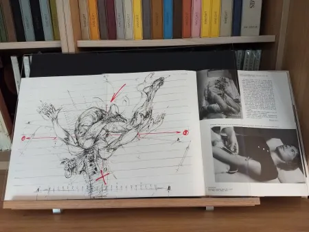 Livro Ilustrado Velickovic - No 44