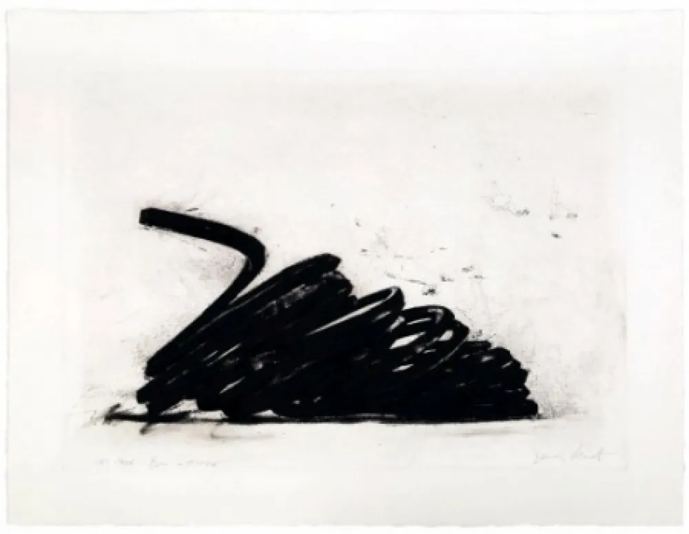 Água-Forte Venet - Effondrement: Indeterminate lines 