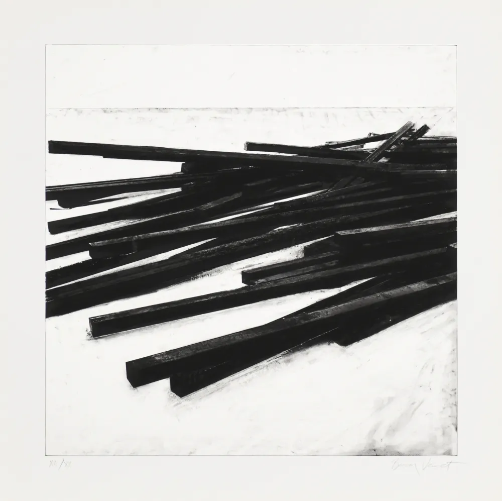 Serigrafia Venet - Lignes droites / désordre 03