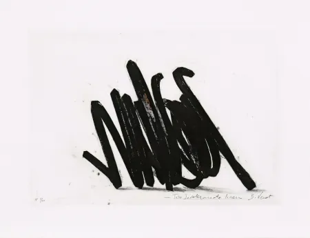 Água-Forte Venet - Two indeterminate lines 02