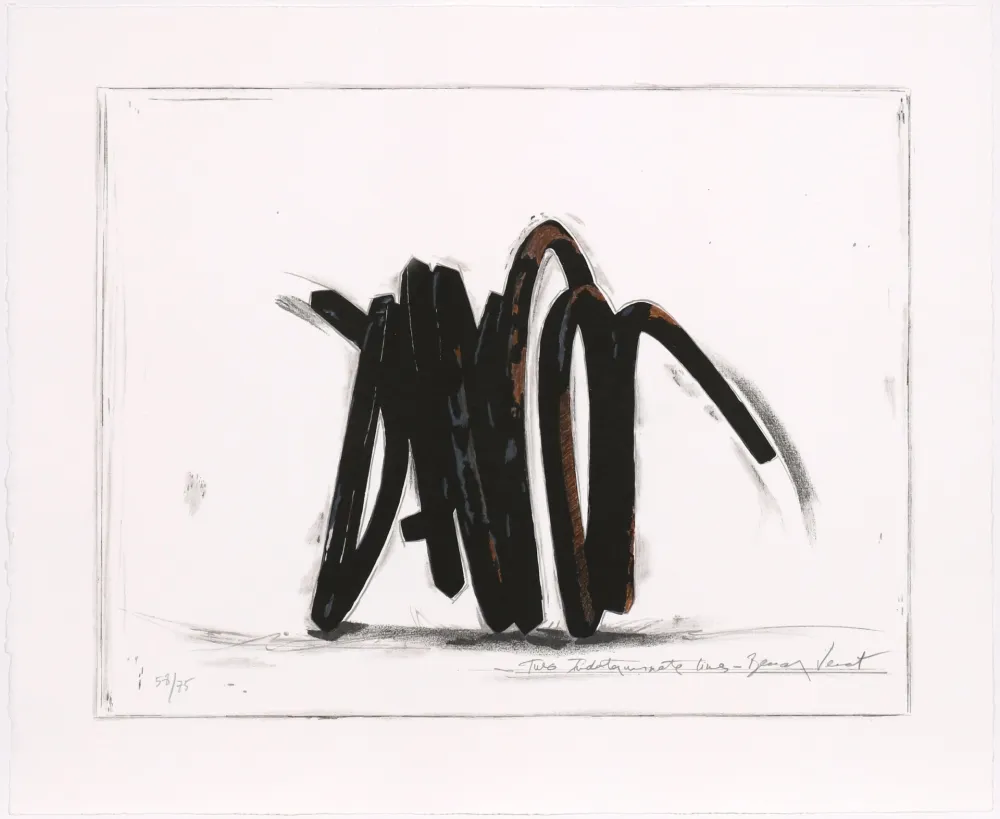 Serigrafia Venet - Two indeterminate lines