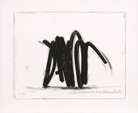 Serigrafia Venet - Two indeterminate lines